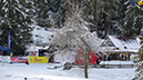 LL_Charitylauf_2026_101