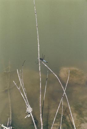 Rom_2000_Radfahrt_047