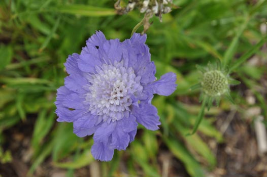 Oberwoelz_120811_027