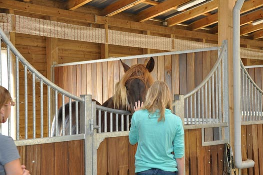 Sterntalerhof_29082011_037