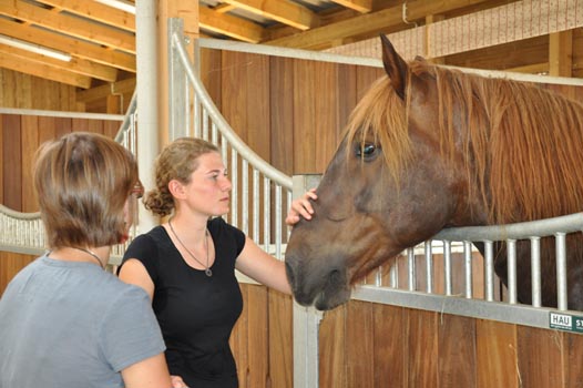 Sterntalerhof_29082011_038