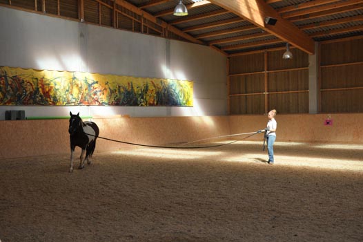 Sterntalerhof_29082011_040