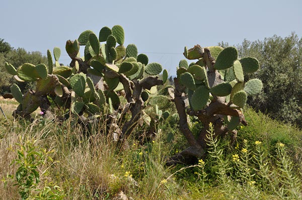 Rom_Sizilien_2012_327