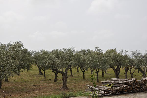 Rom_Sizilien_2012_227