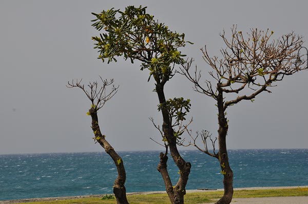 Rom_Sizilien_2012_225