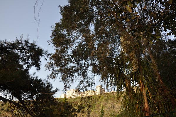 Rom_Sizilien_2012_300