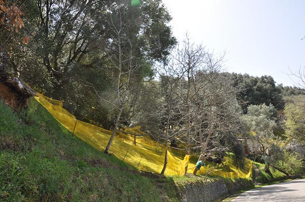 Rom_Sizilien_2012_147
