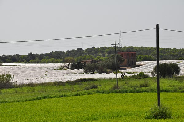 Rom_Sizilien_2012_337