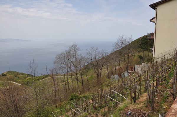 Rom_Sizilien_2012_249