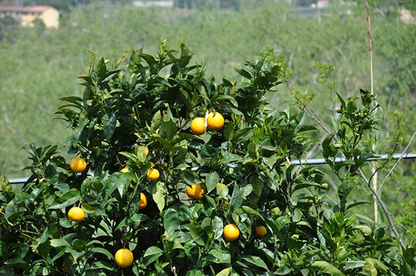 Rom_Sizilien_2012_231