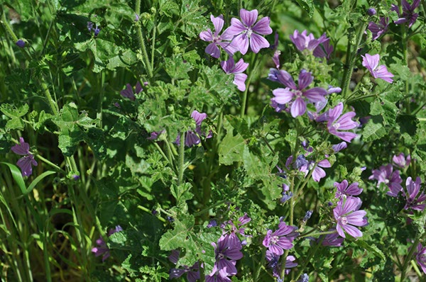 Rom_Sizilien_2012_020