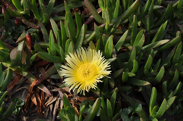 Rom_Sizilien_2012_117