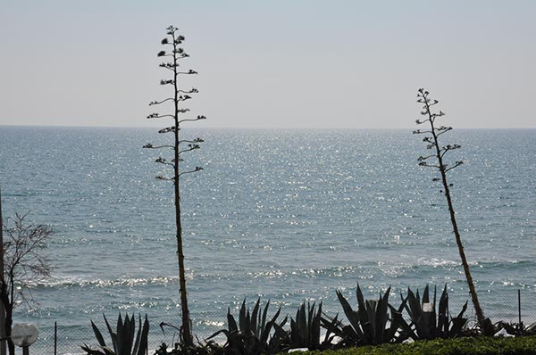 Rom_Sizilien_2012_022