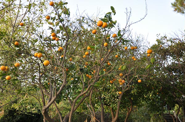 Rom_Sizilien_2012_289