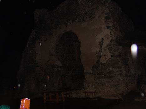 Pfleger_von_Stein_2007_082